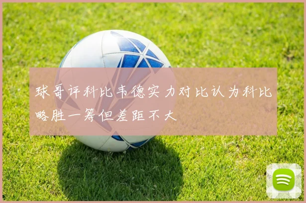 球哥评科比韦德实力对比认为科比略胜一筹但差距不大